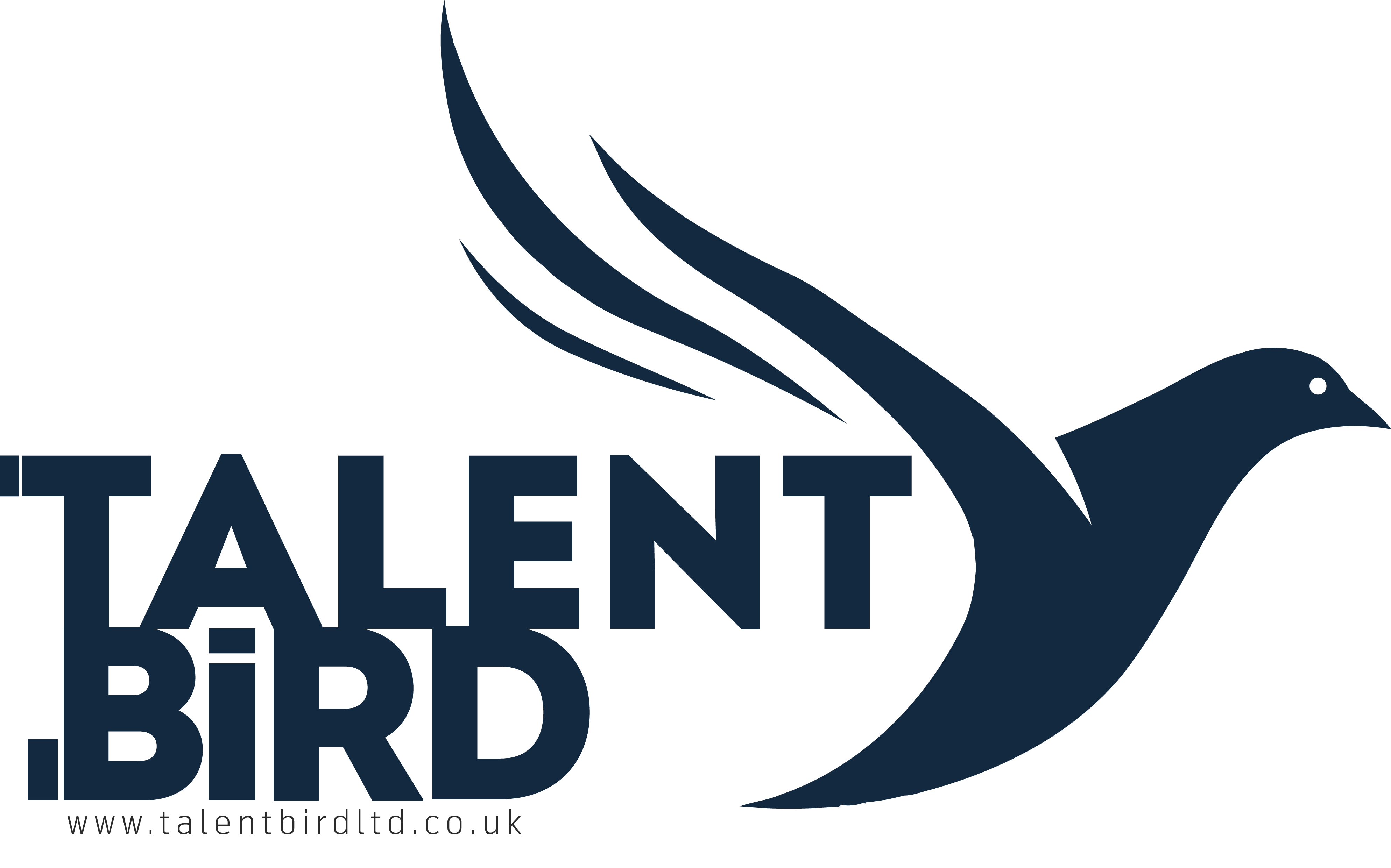 TALENT BIRD LTD